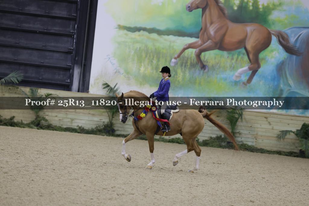 Proof Number 25R13_11820