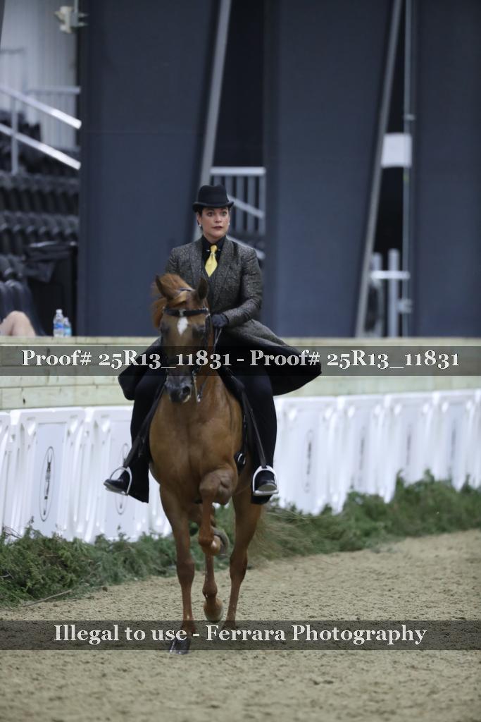 Proof Number 25R13_11831
