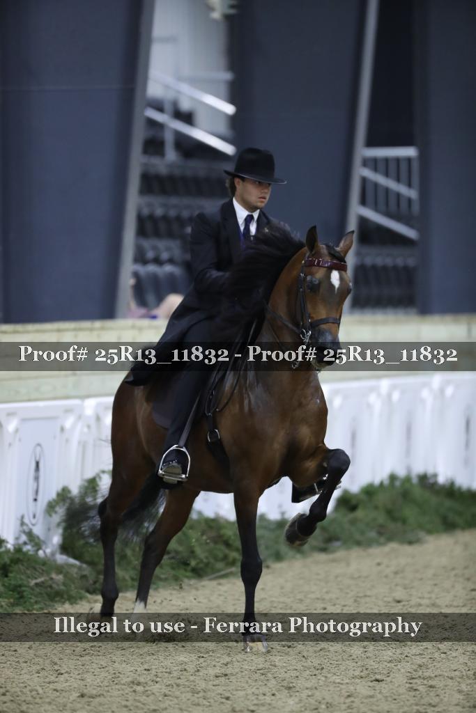 Proof Number 25R13_11832