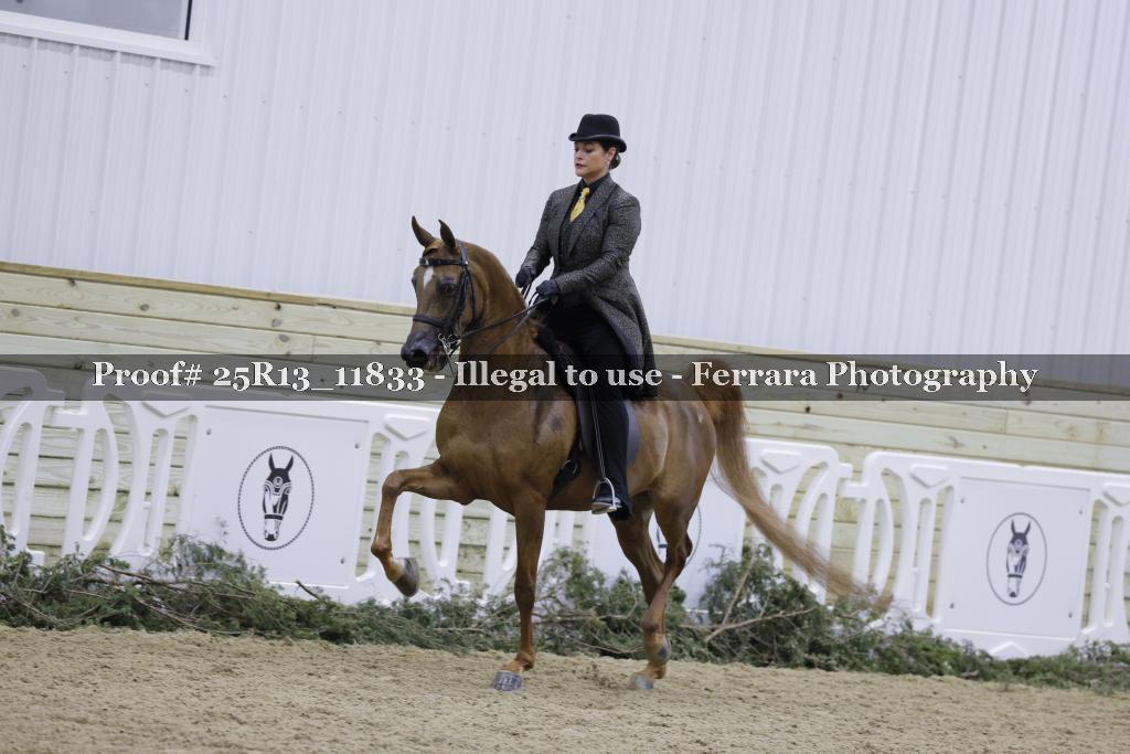 Proof Number 25R13_11833