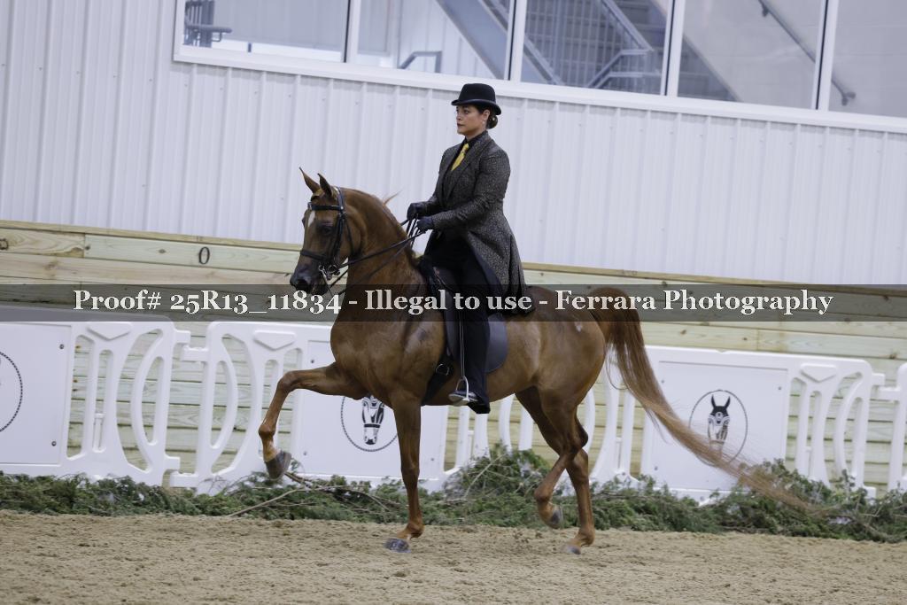 Proof Number 25R13_11834