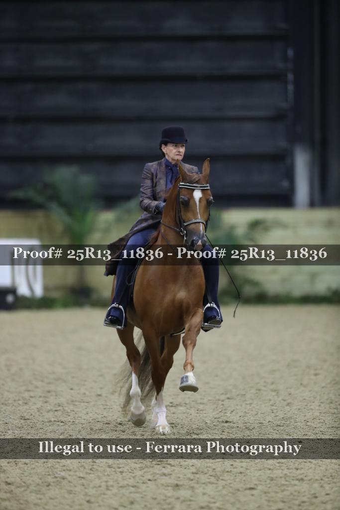 Proof Number 25R13_11836