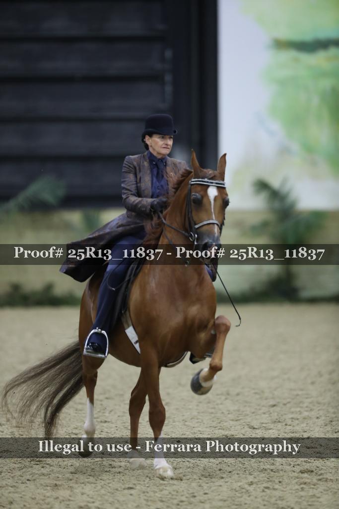 Proof Number 25R13_11837