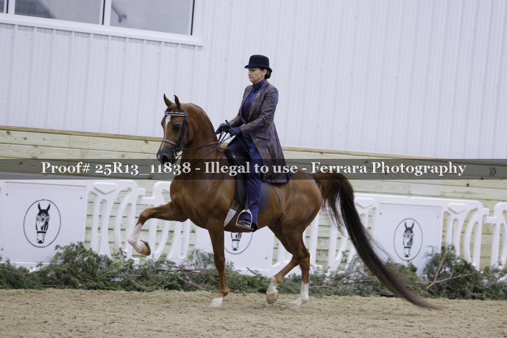 Proof Number 25R13_11838