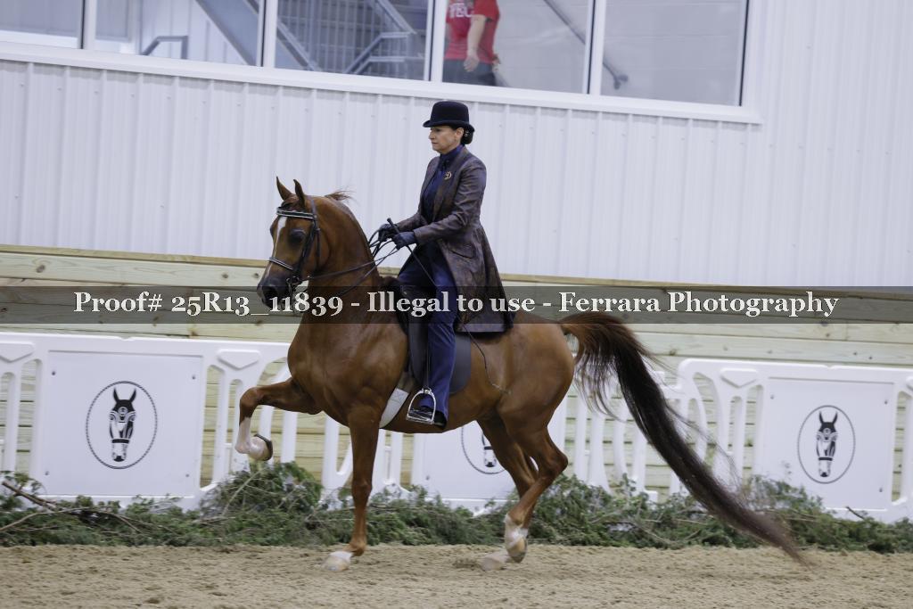 Proof Number 25R13_11839