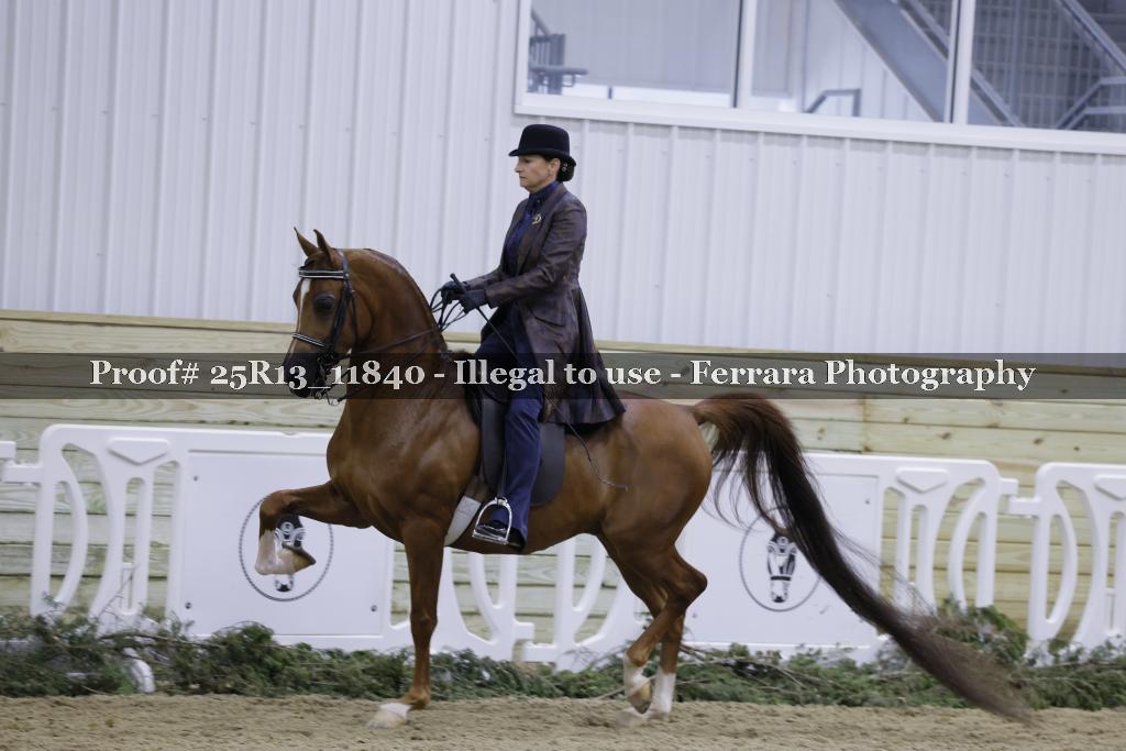 Proof Number 25R13_11840