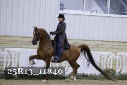 25R13_11840 thumbnail