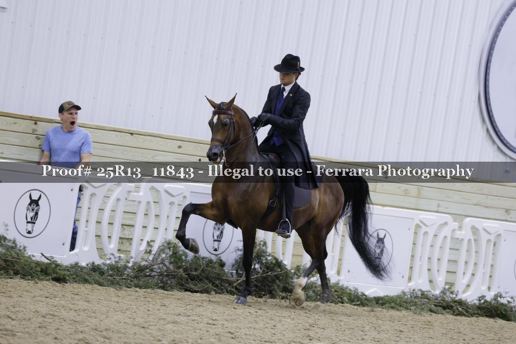 Proof Number 25R13_11843
