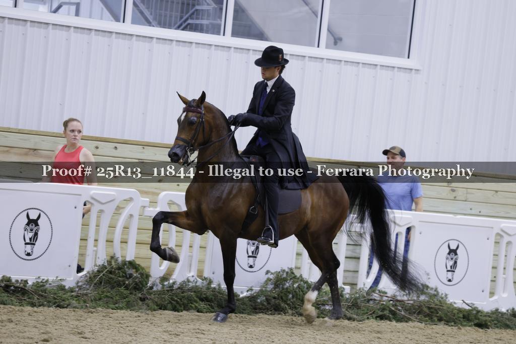 Proof Number 25R13_11844