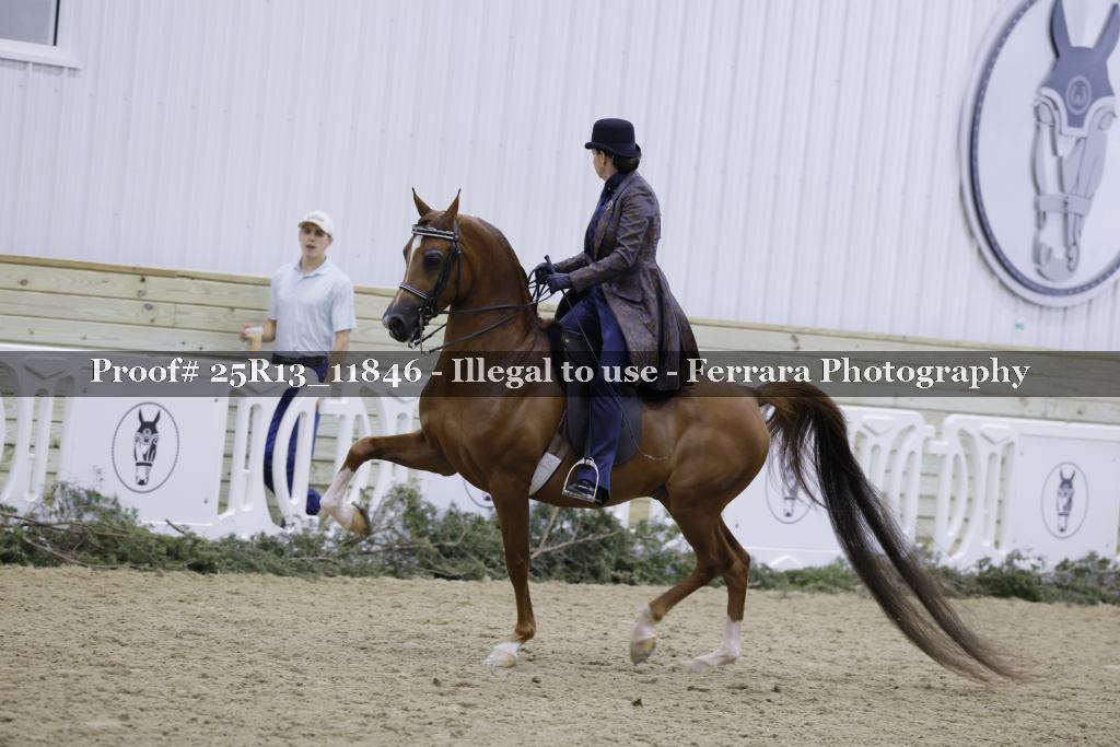 Proof Number 25R13_11846