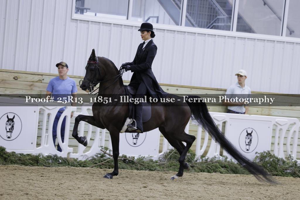 Proof Number 25R13_11851