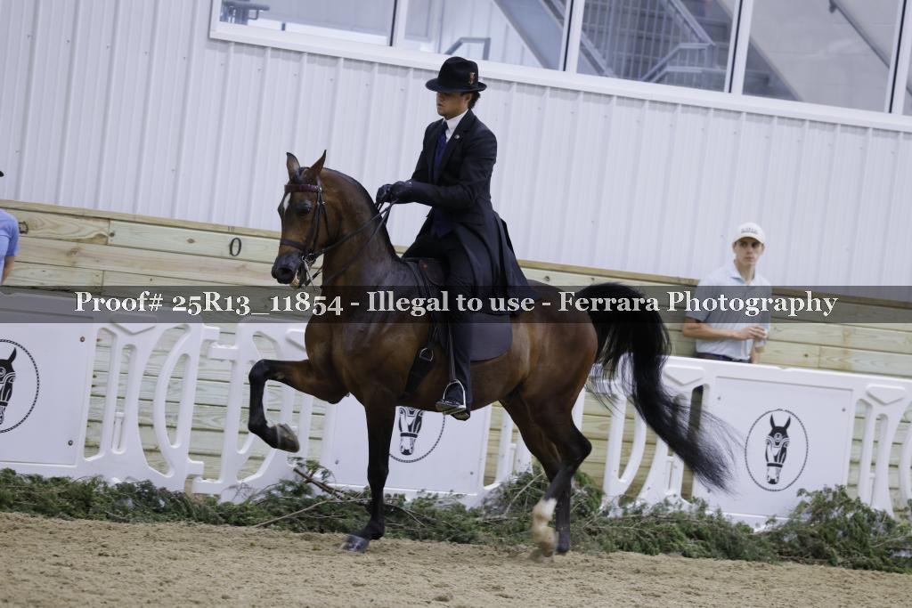 Proof Number 25R13_11854