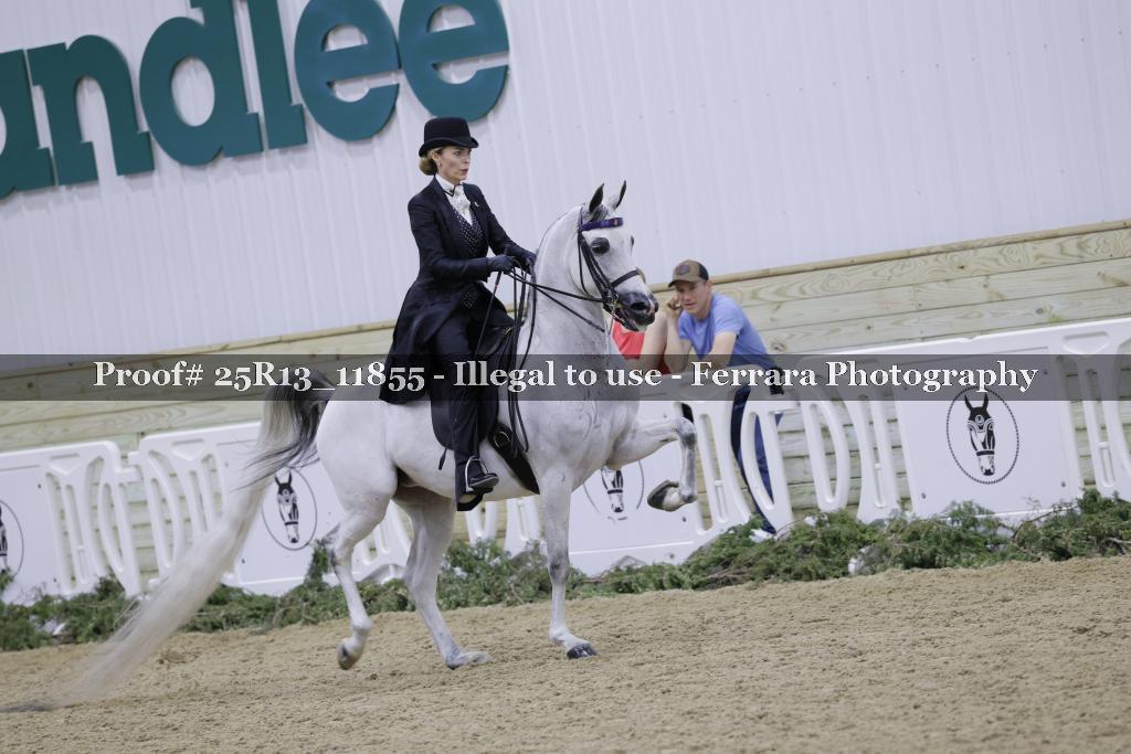 Proof Number 25R13_11855