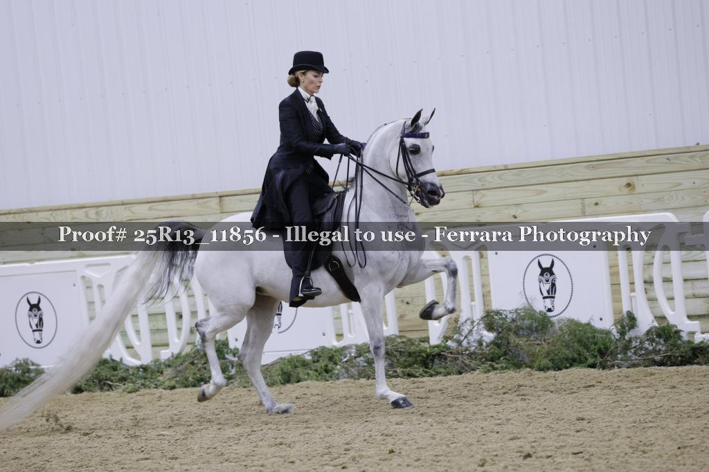 Proof Number 25R13_11856