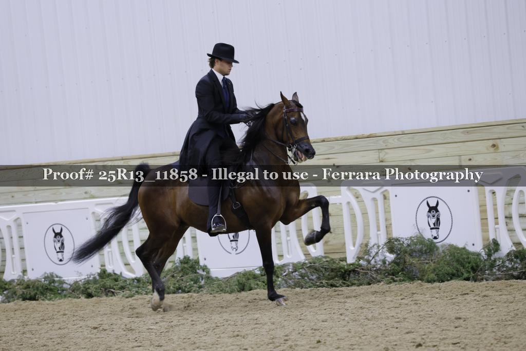 Proof Number 25R13_11858