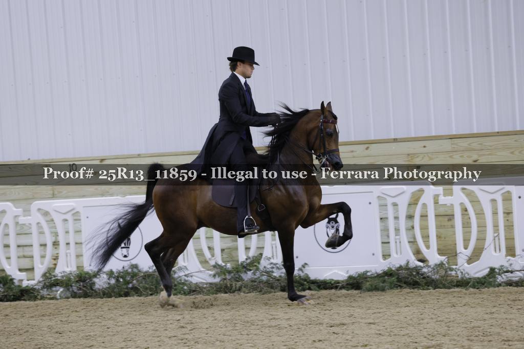 Proof Number 25R13_11859