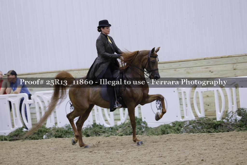 Proof Number 25R13_11860
