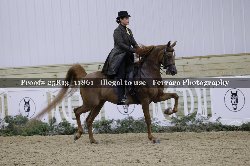 Proof Number 25R13_11861