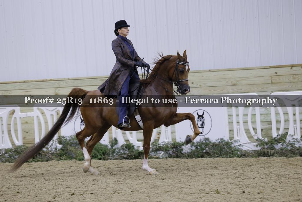 Proof Number 25R13_11863