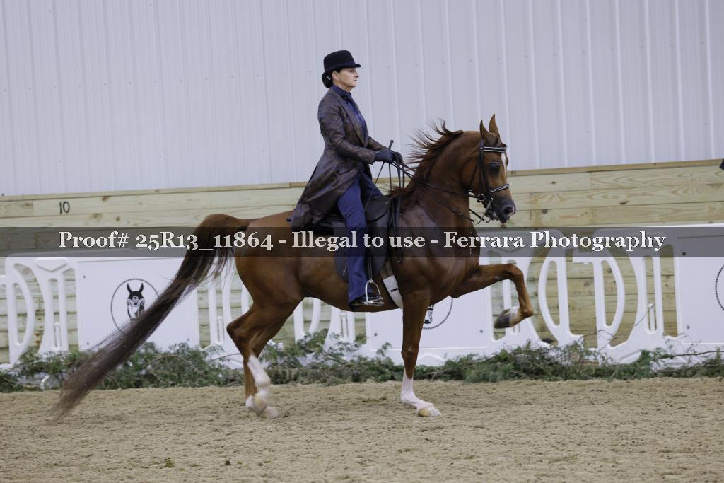 Proof Number 25R13_11864