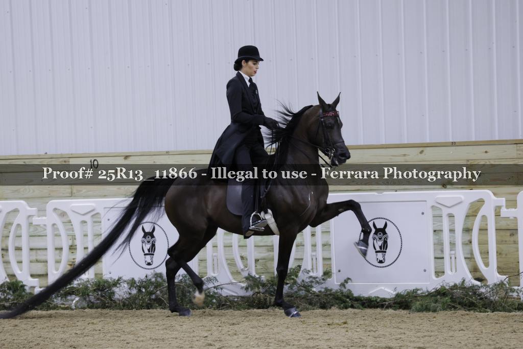Proof Number 25R13_11866
