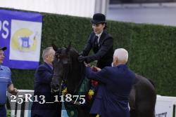 25R13_11875 thumbnail