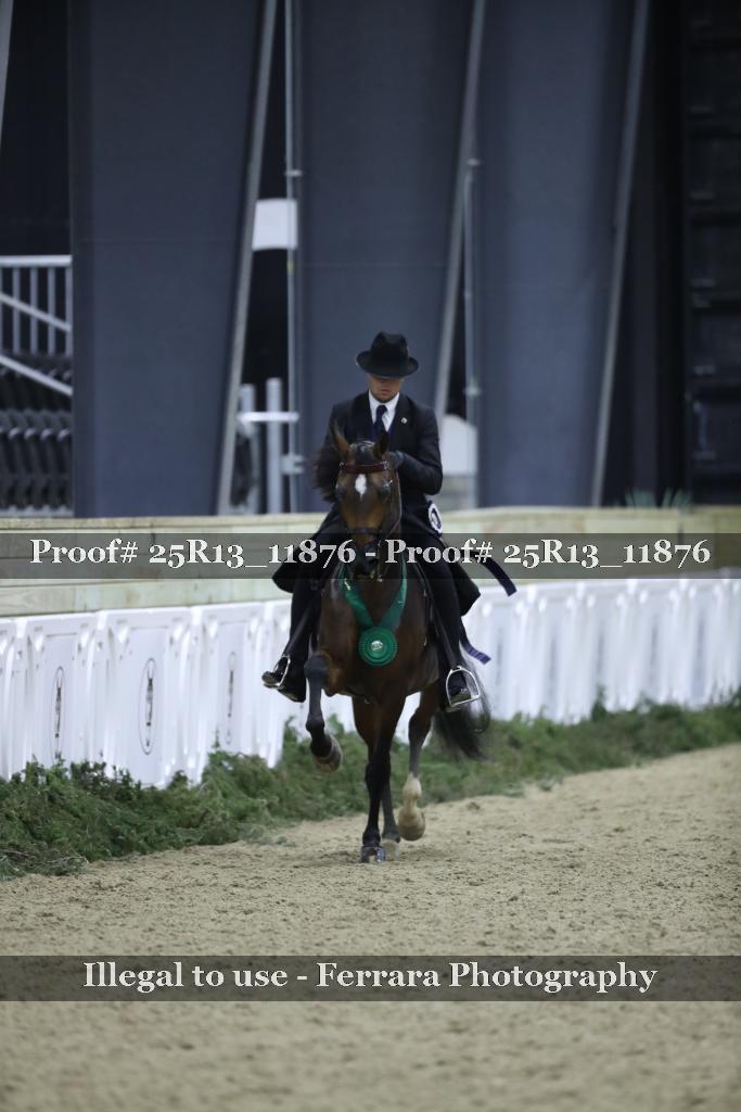 Proof Number 25R13_11876