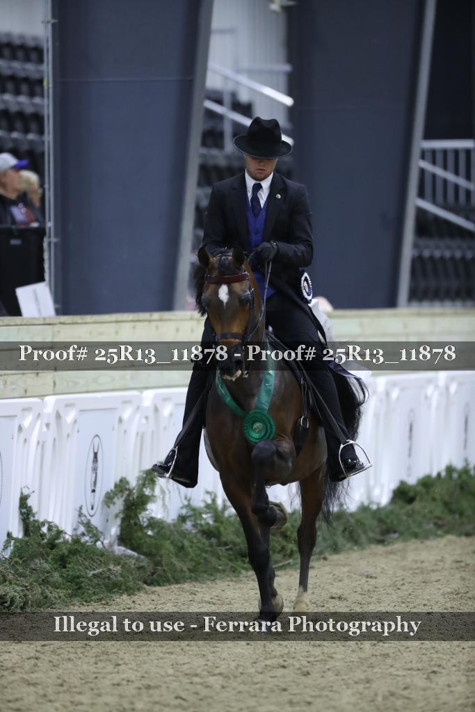 Proof Number 25R13_11878