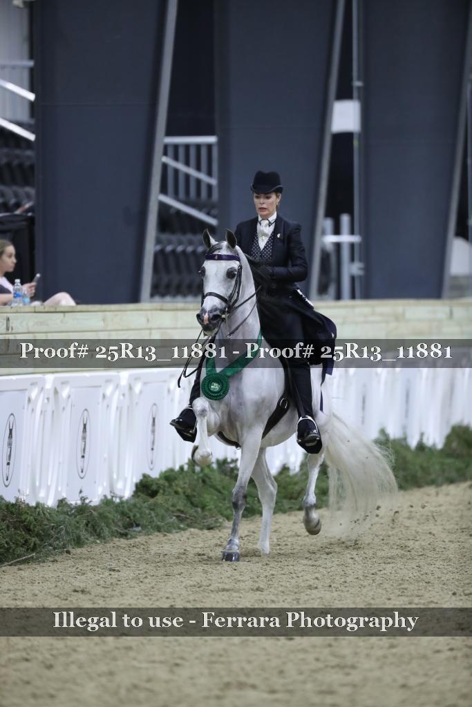 Proof Number 25R13_11881