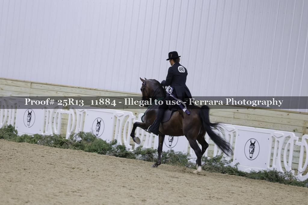 Proof Number 25R13_11884