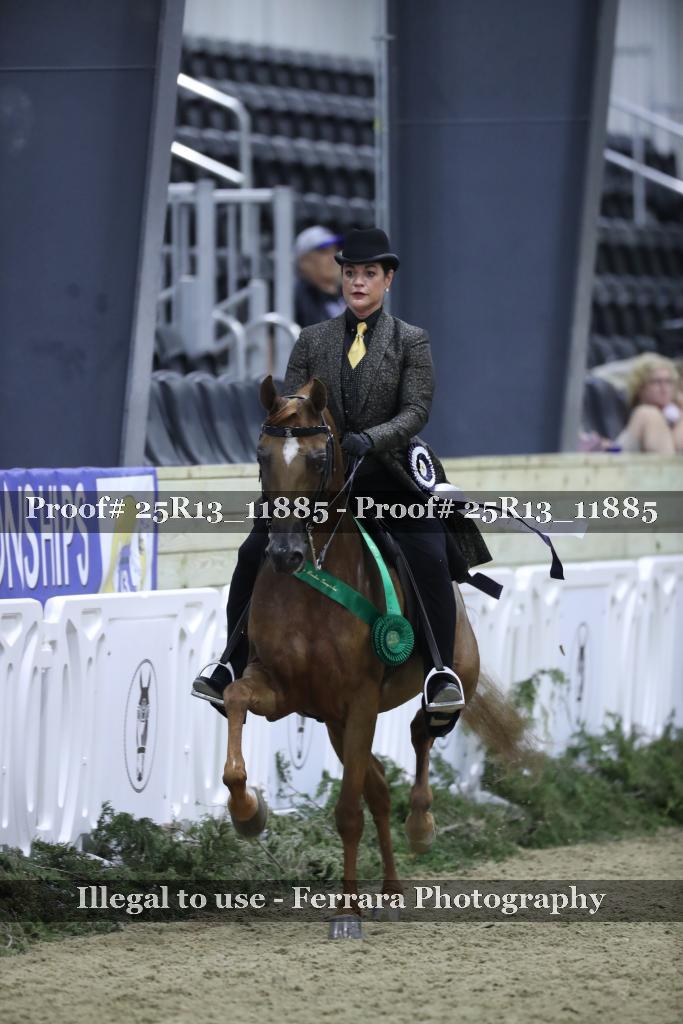 Proof Number 25R13_11885