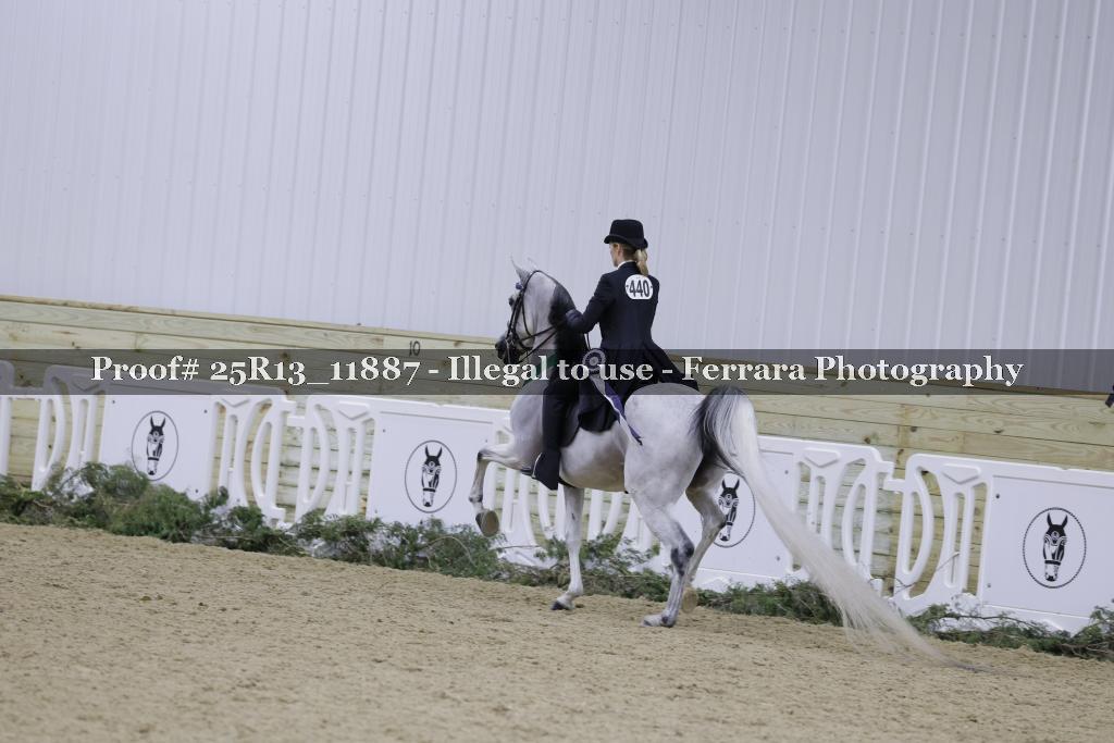 Proof Number 25R13_11887