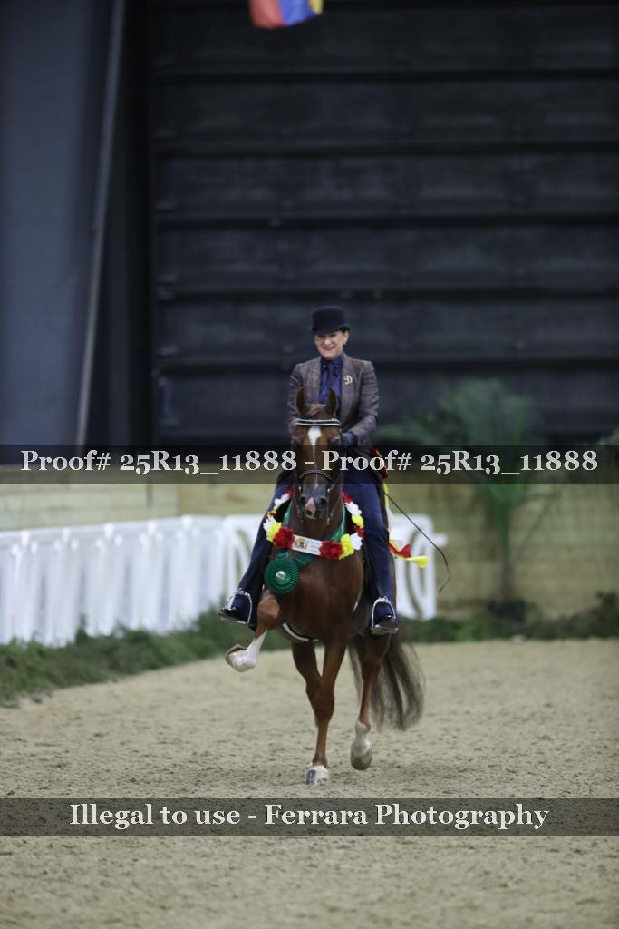 Proof Number 25R13_11888