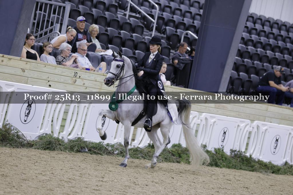 Proof Number 25R13_11899