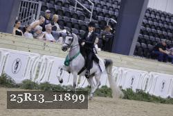 25R13_11899 thumbnail