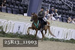 25R13_11903 thumbnail