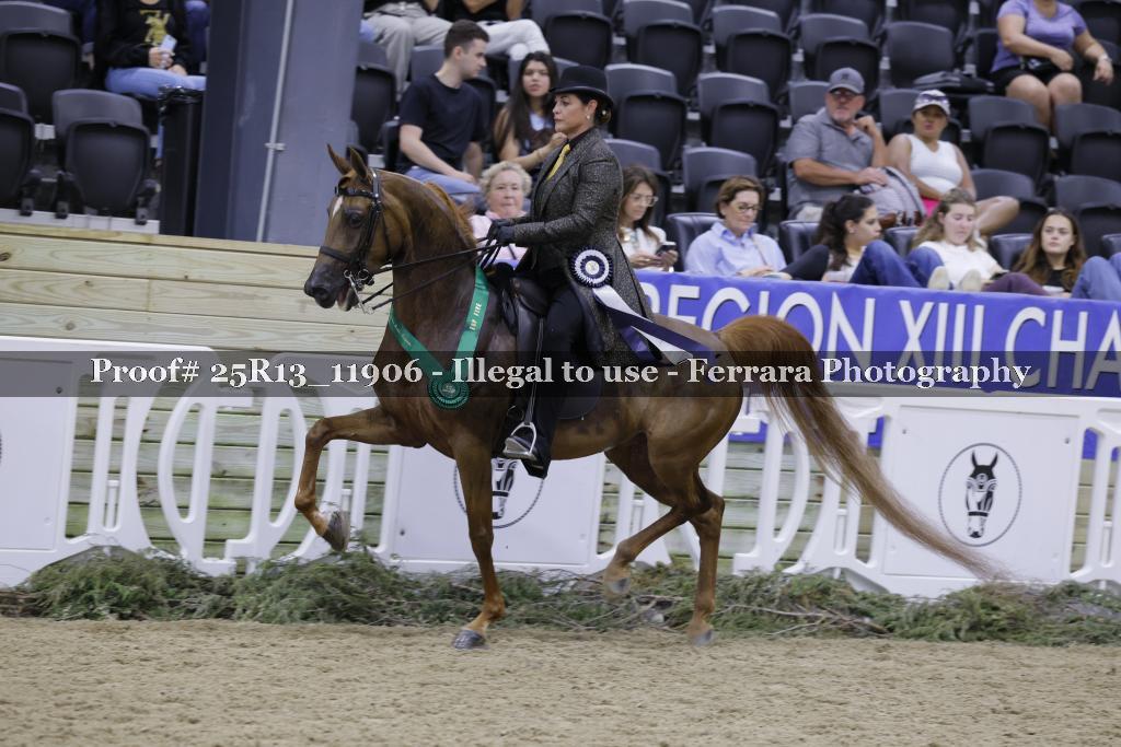 Proof Number 25R13_11906