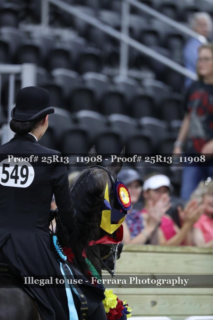 Proof Number 25R13_11908