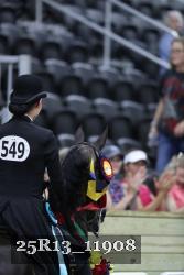25R13_11908 thumbnail