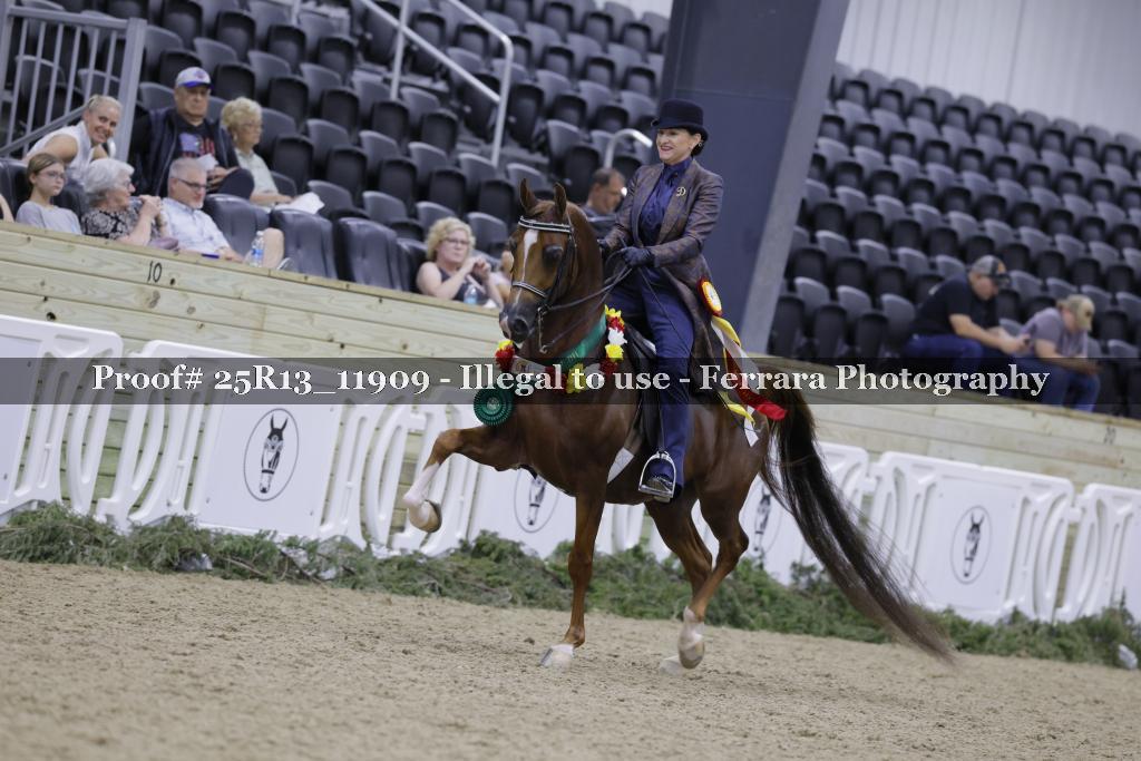 Proof Number 25R13_11909