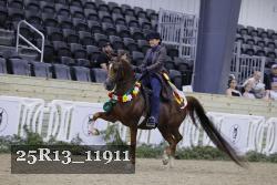 25R13_11911 thumbnail