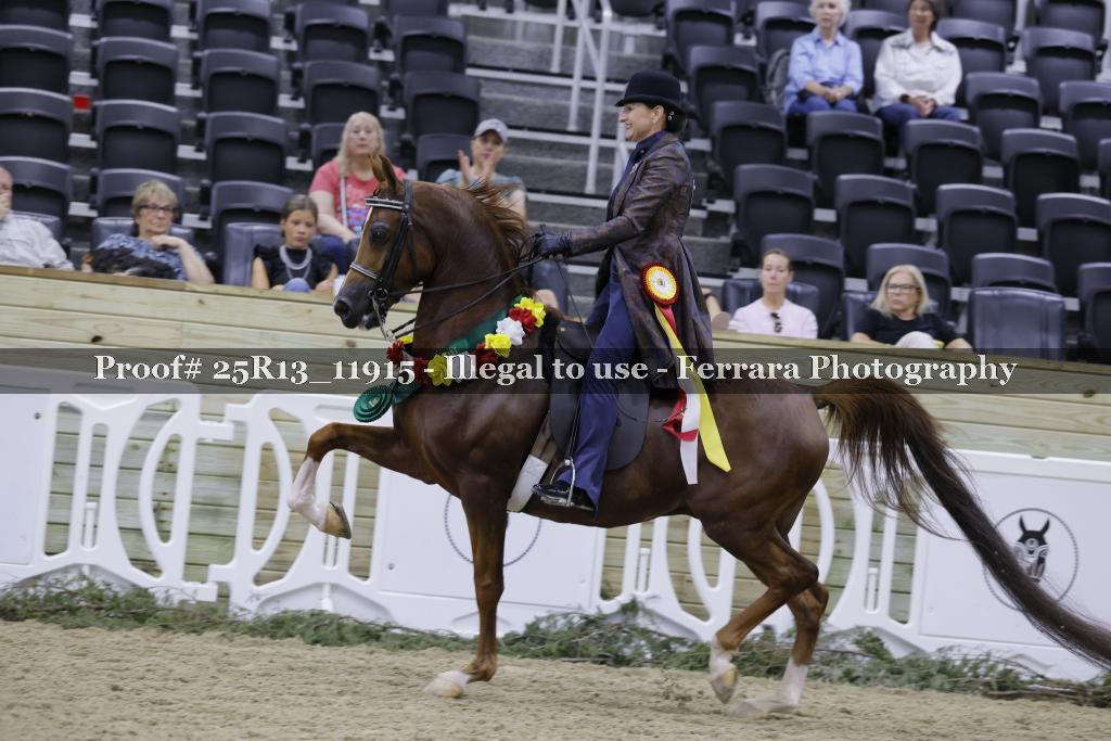 Proof Number 25R13_11915