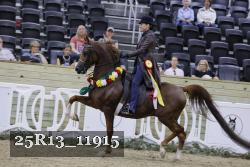 25R13_11915 thumbnail