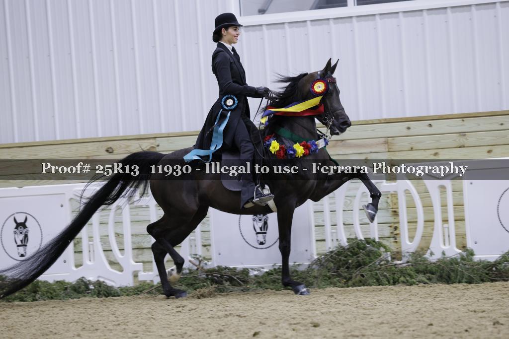 Proof Number 25R13_11930