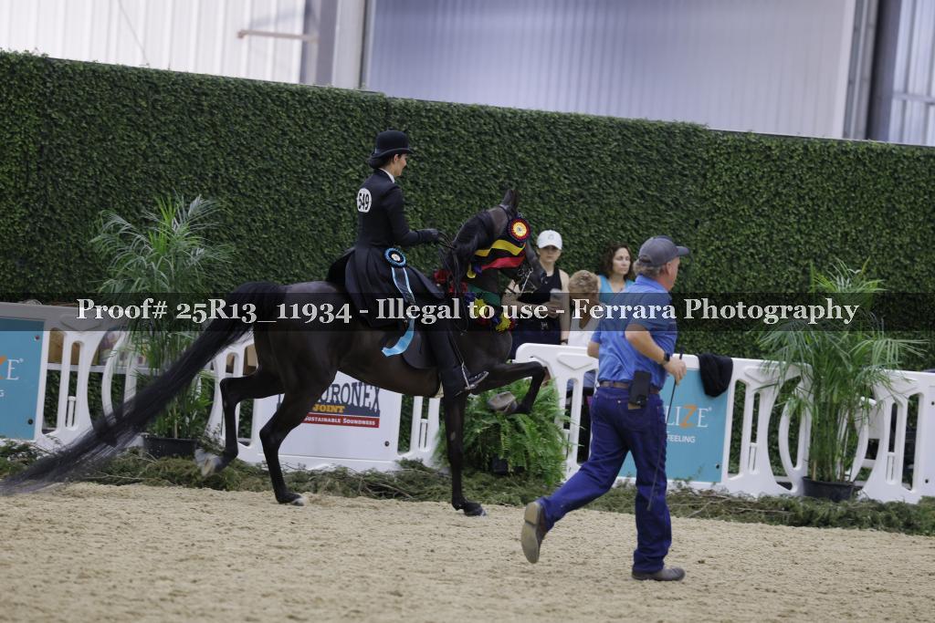 Proof Number 25R13_11934