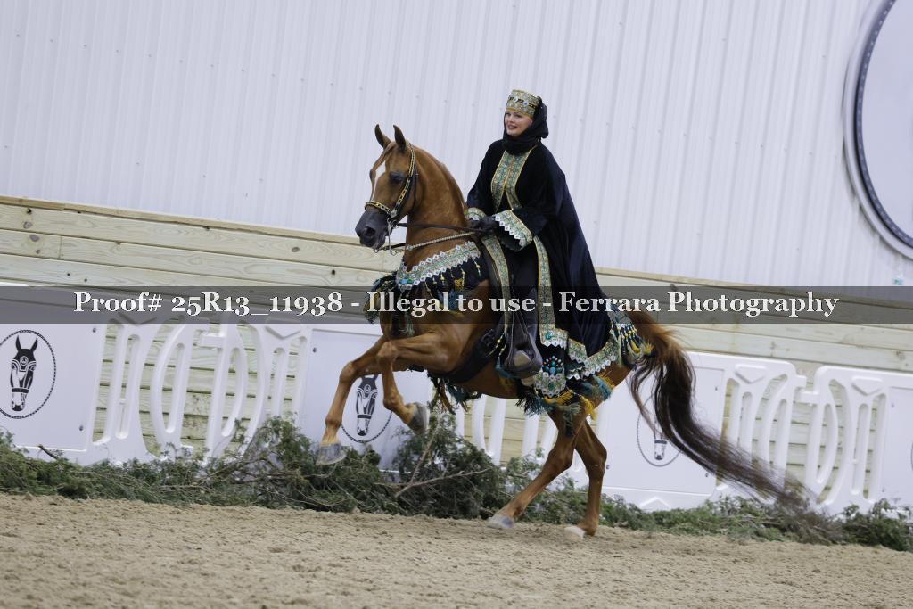Proof Number 25R13_11938
