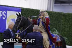 25R13_11947 thumbnail