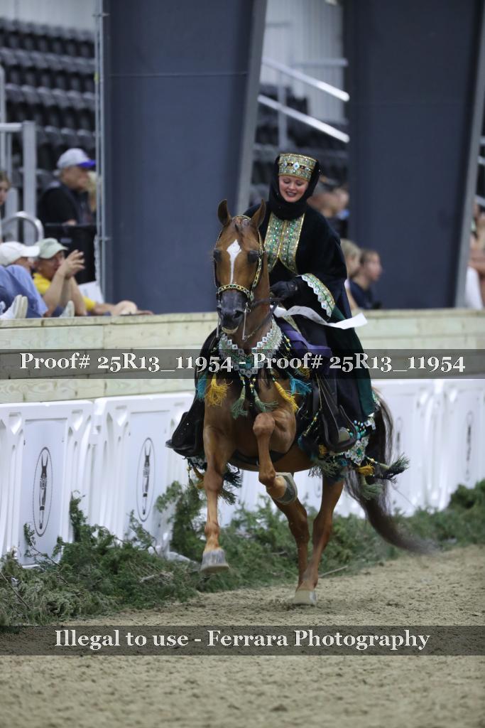 Proof Number 25R13_11954
