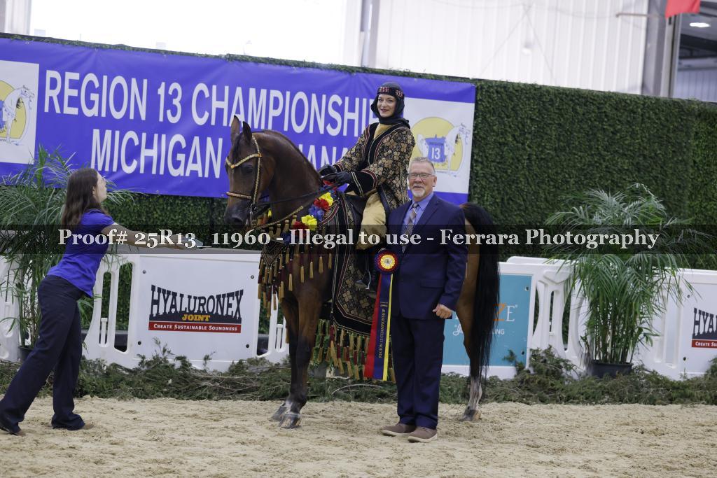 Proof Number 25R13_11960