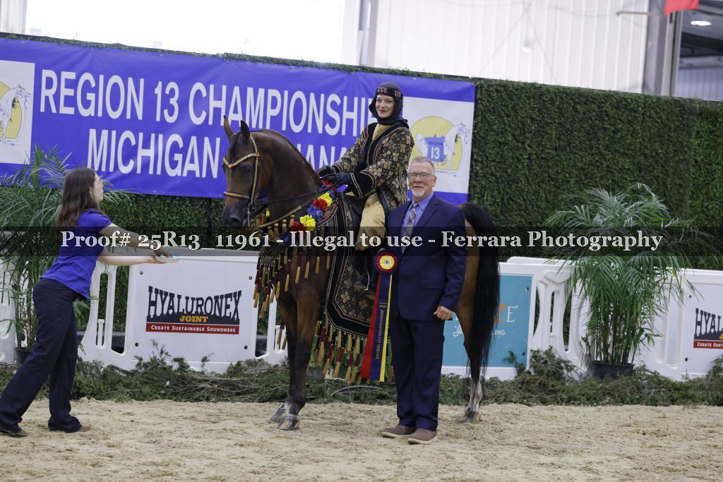 Proof Number 25R13_11961